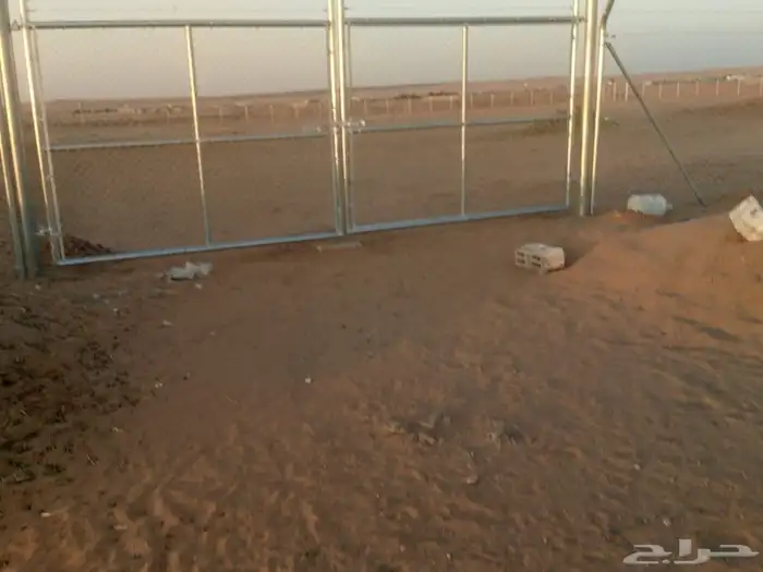 يوجد لدينا توريد جميع انواع شبوك 1