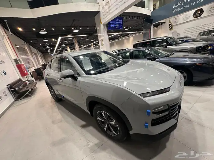 جيتور داشينج استاندر 2026 4