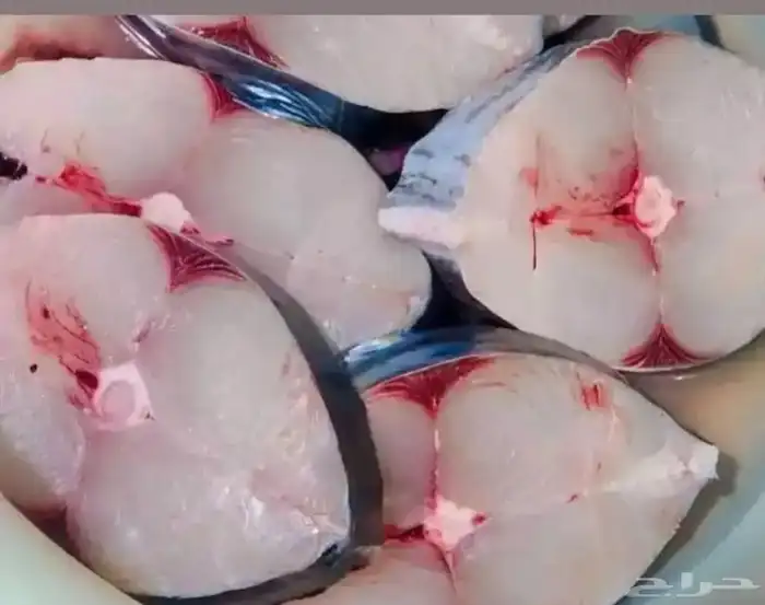 يوجد لدينا أسماك طازة يومية ني وفي جاهز مقلي مشوي المناسبا 0