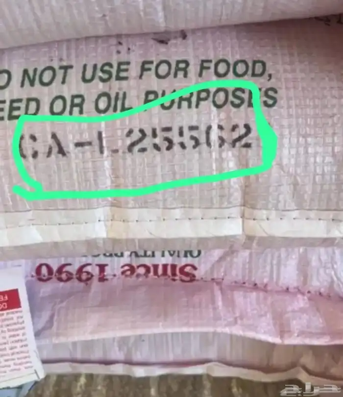 بذور برسيم . سرالصحراء 5