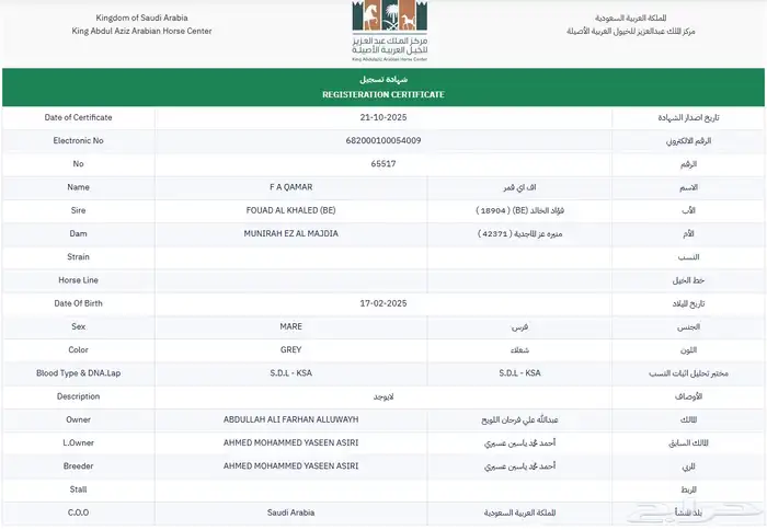 مهره واهو للبيع بنت فواد الخالد 7