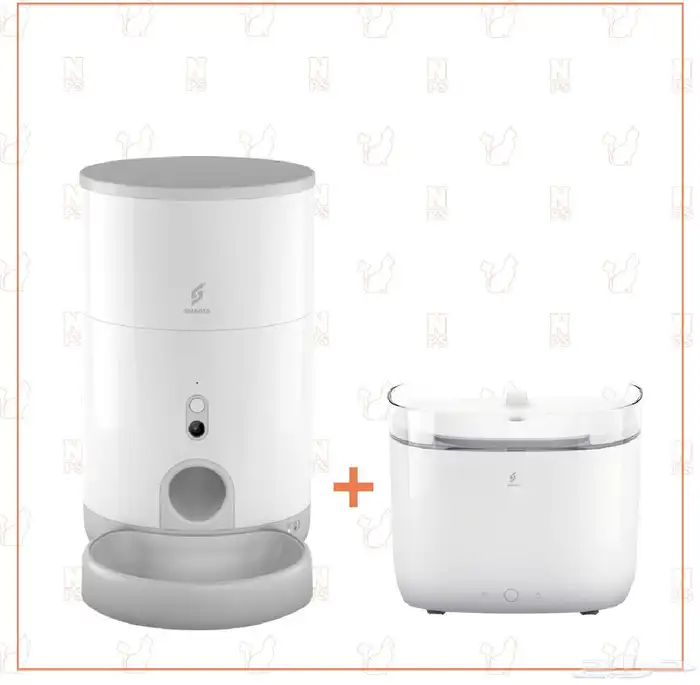 قطتين شيرازي للتبني 11