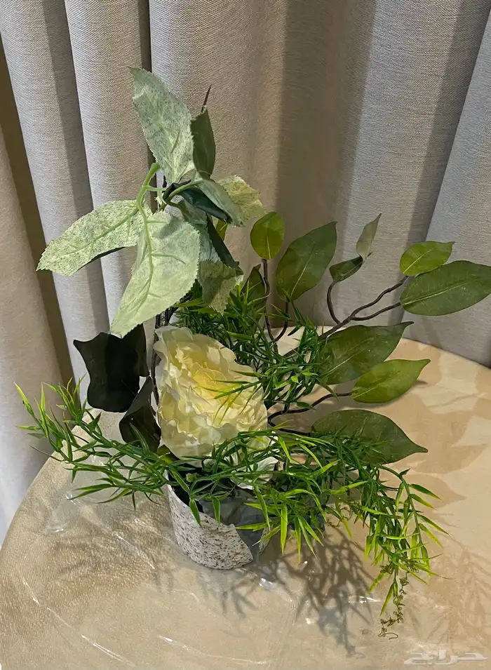 مجموعه من الشجيرات الكبار الوحده بميه والصغار الوحد ب50 8