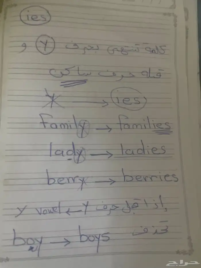 معلمة خصوصي انجليزي دورات محادثة عن بعد و حضور حل واجبات 0