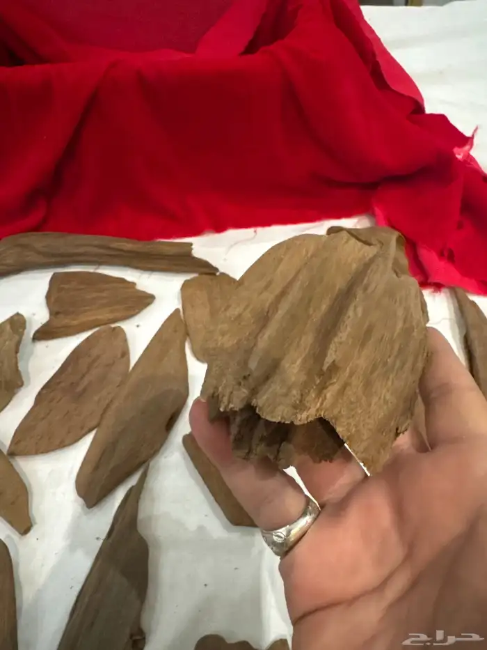 عود مروكي صفائح ثقيله طبيعي 100   100 9