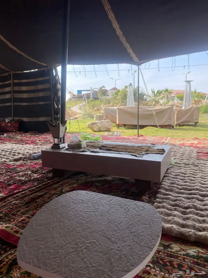 مخيم للايجاروسترحه 8