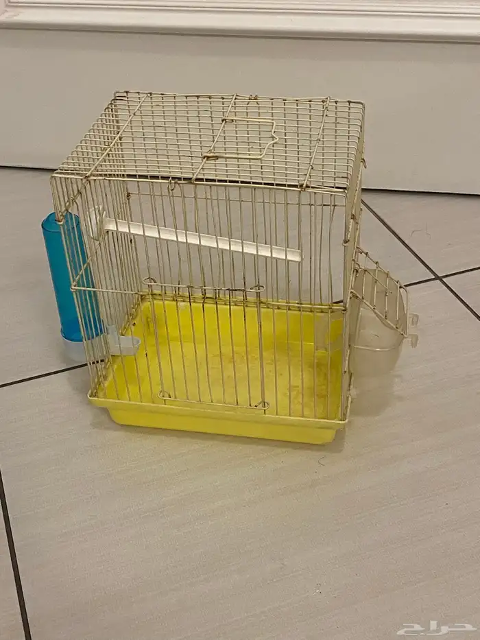 اقفاص عددهم ثلاثه البيع الحبه او كلهم 200 ريال 4