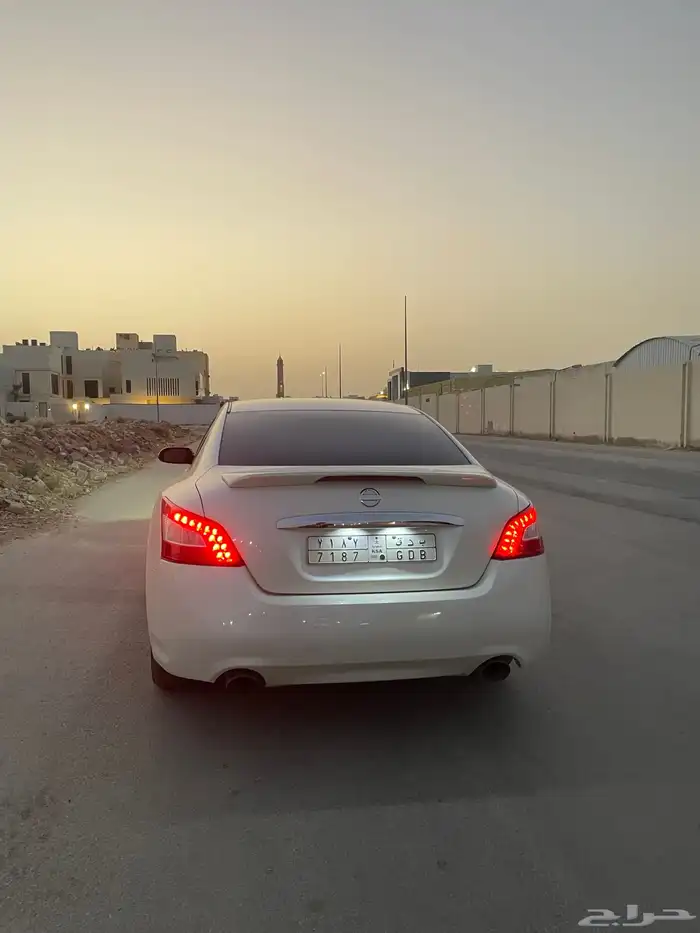 مكسيما سكر في مويه للبيع 6