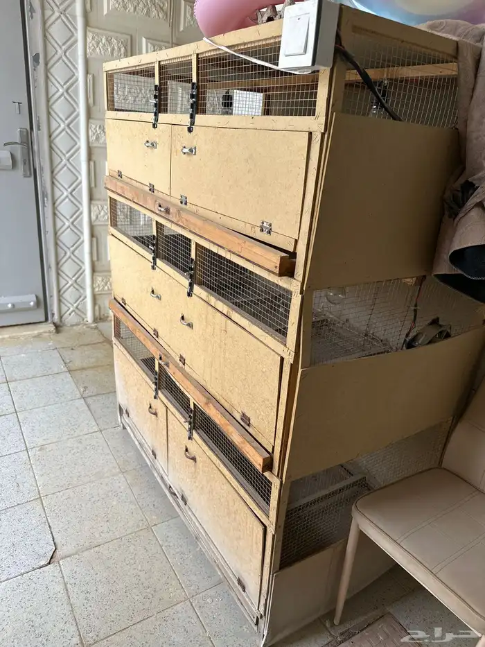 فقاسة   حضانه صيصان 3