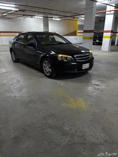 كابرس نضيف index