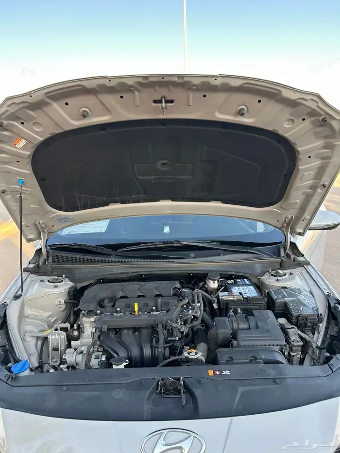 افانتي 2021 بطاقه جمركيه بدي وكاله وارد كورياء 29