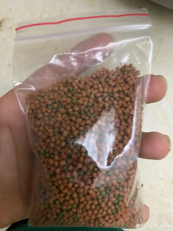 مستلزمات قطط و سمك 9