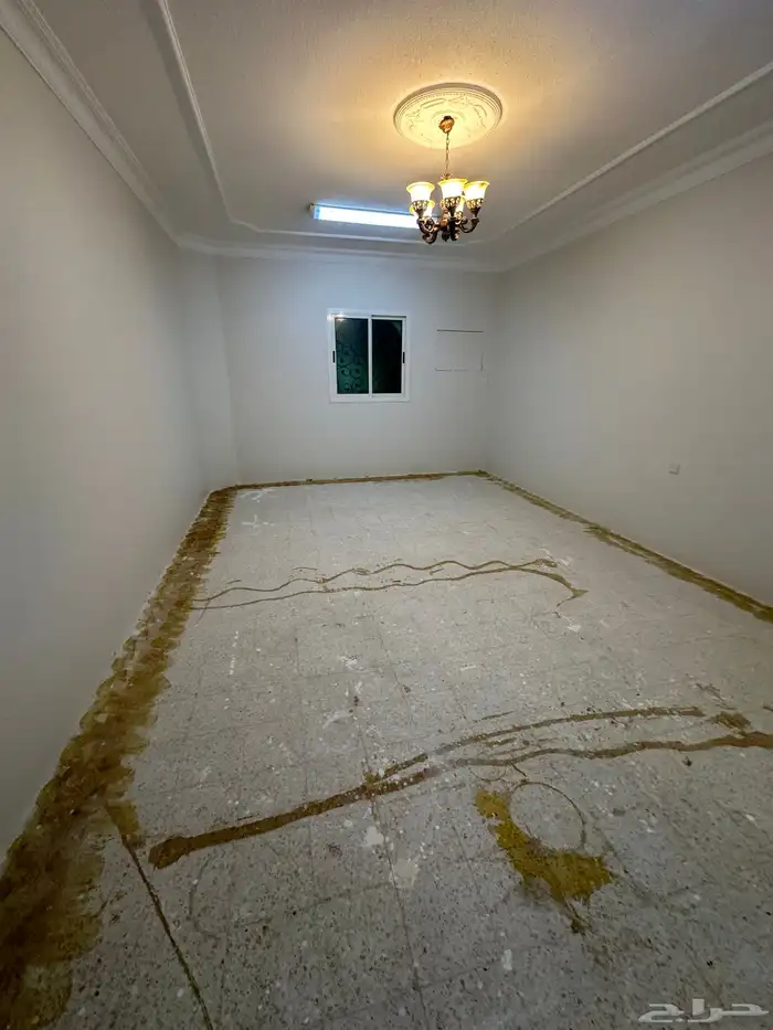 دور اول للإيجار 450 متر غرناطه 60 الف 4