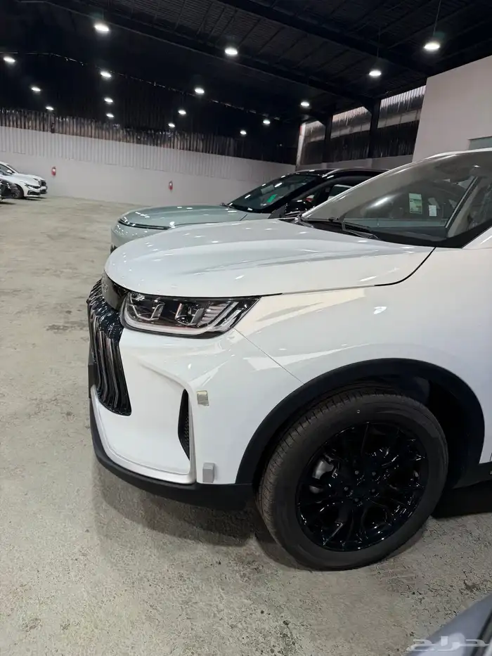 موديل 25 بعرض تأجيل 3 اقساط ع شركة رايهx50 جيتور 8