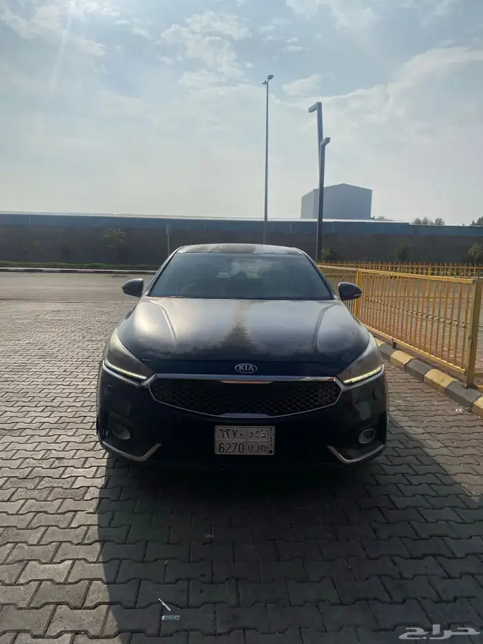 كادنزا 2018وكالة 12