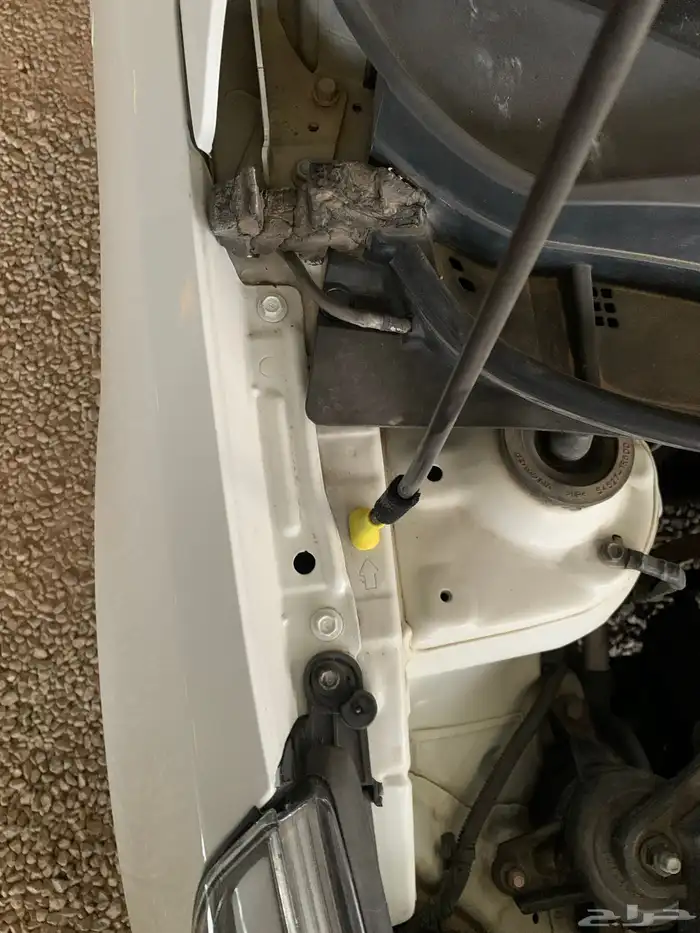 للبيع هيونداي اكسنت 2016 30