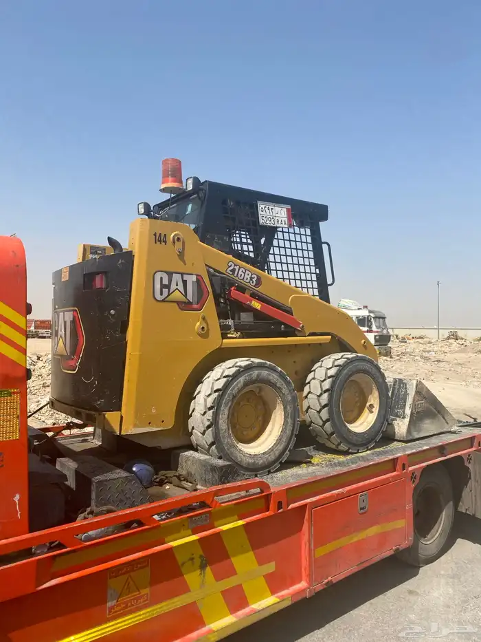 بوبكات بوبكاتات حواس شيول جراف صغير 6