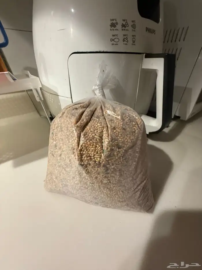 أكل لطيور البادجي 0