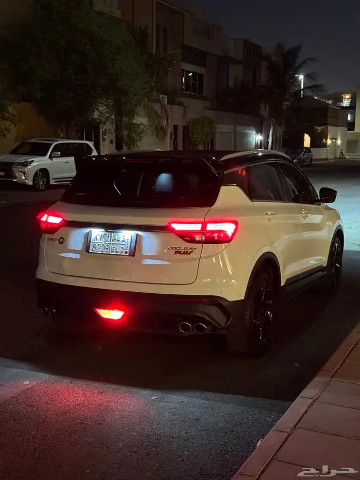 جيلي كولراي 2022 19