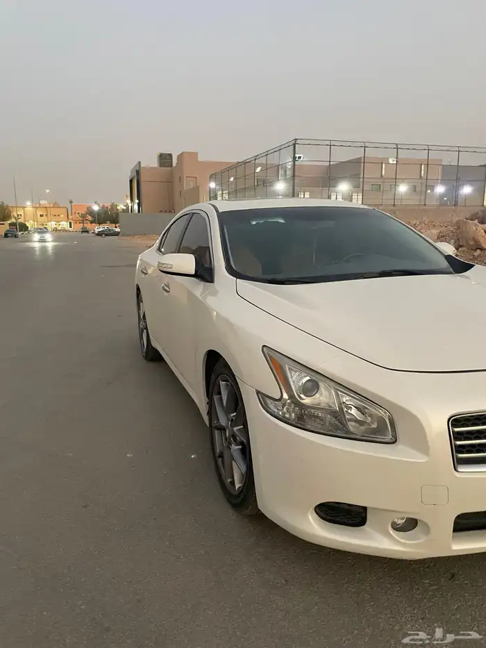 مكسيما سكر في مويه للبيع 3