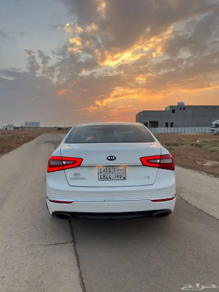 كادينزا 2015 4