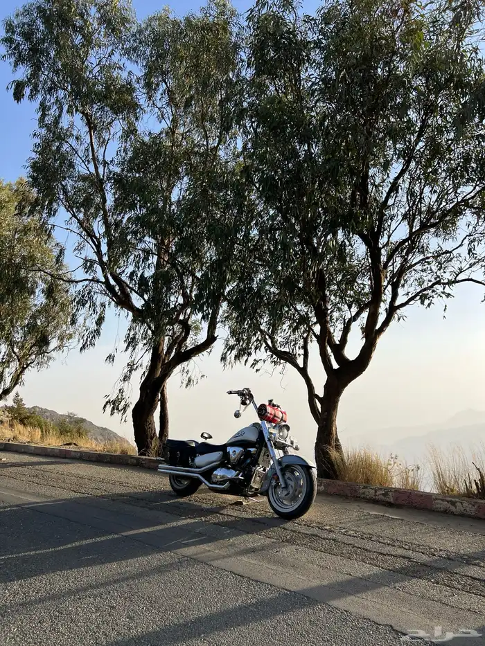 دباب.سوزوكي.بوليفارد 24