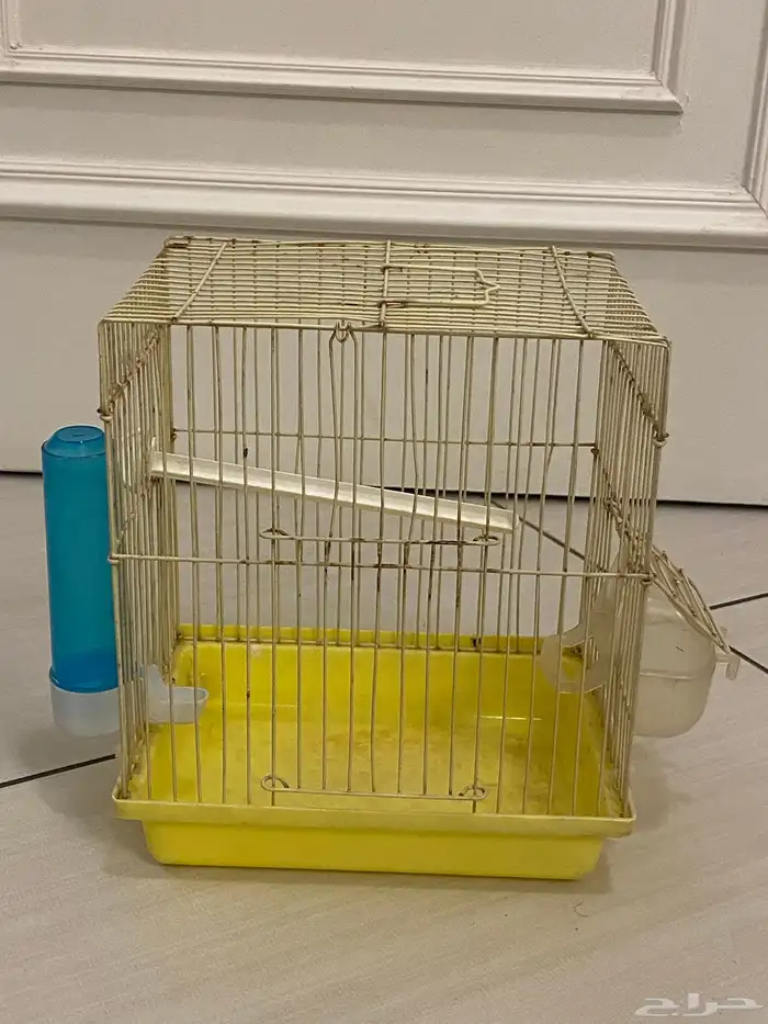 اقفاص عددهم ثلاثه البيع الحبه او كلهم 200 ريال 3