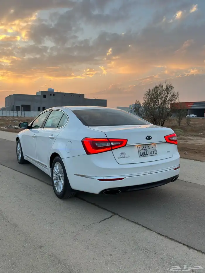 كادينزا 2015 5