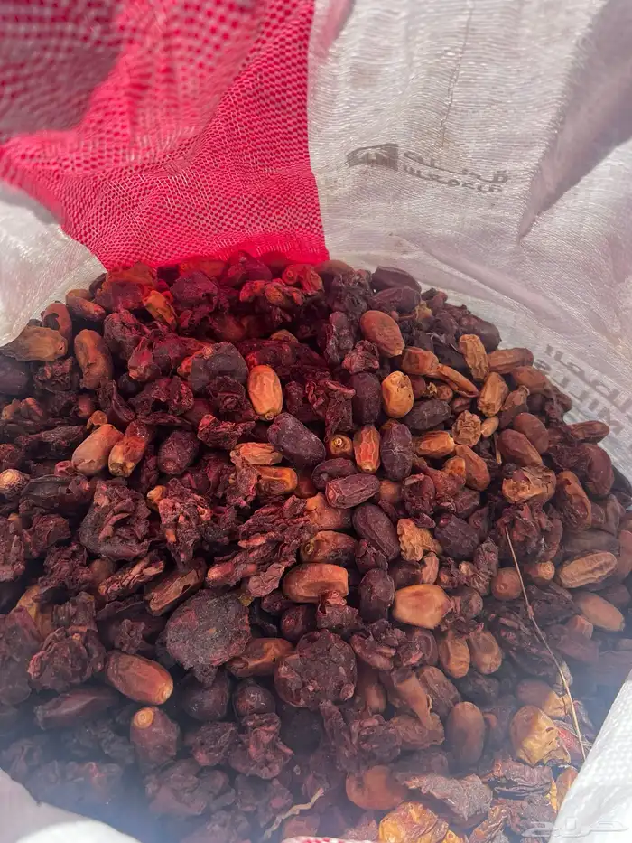 تمر علف للحلال 0