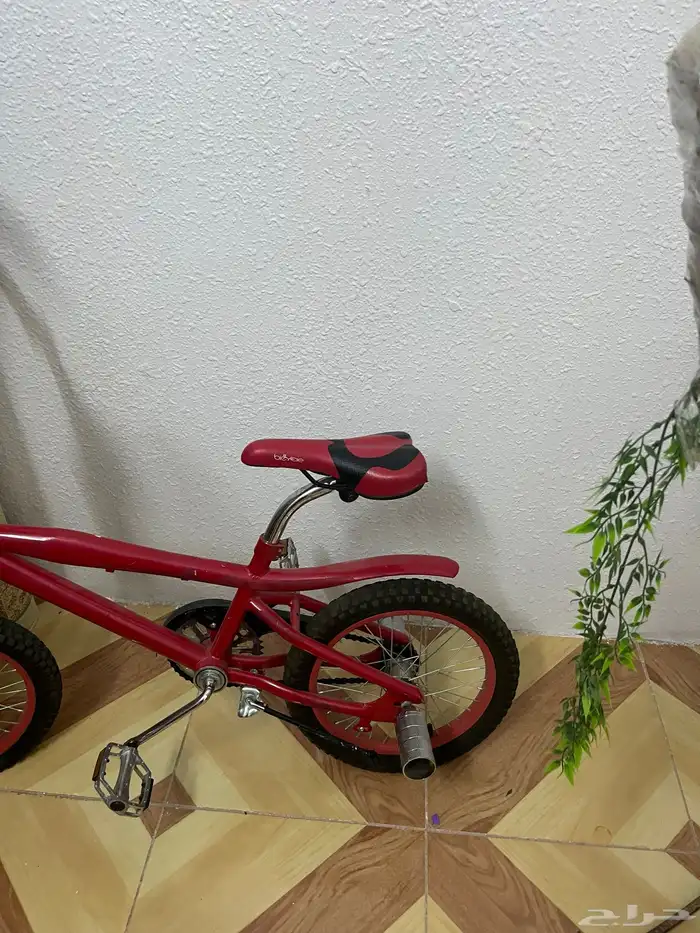 سيكل و اسكوتر ال سيكل في خرابت 6