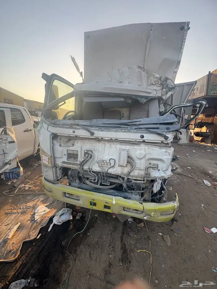 دينا ايسوزو 2020 مصدوم للبيع 4