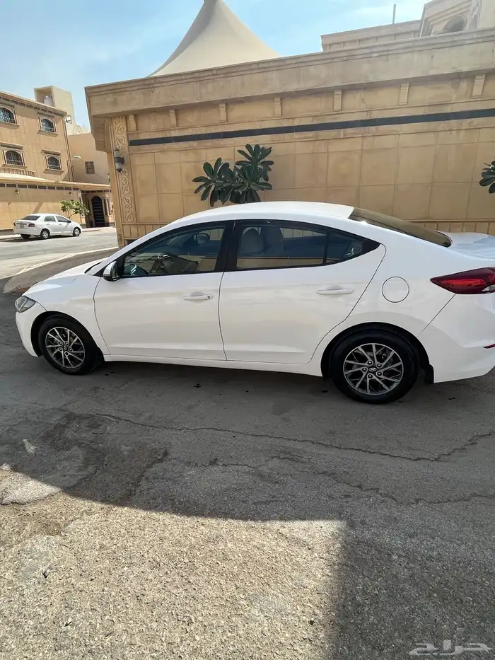 النترا 2018 نص فل 2