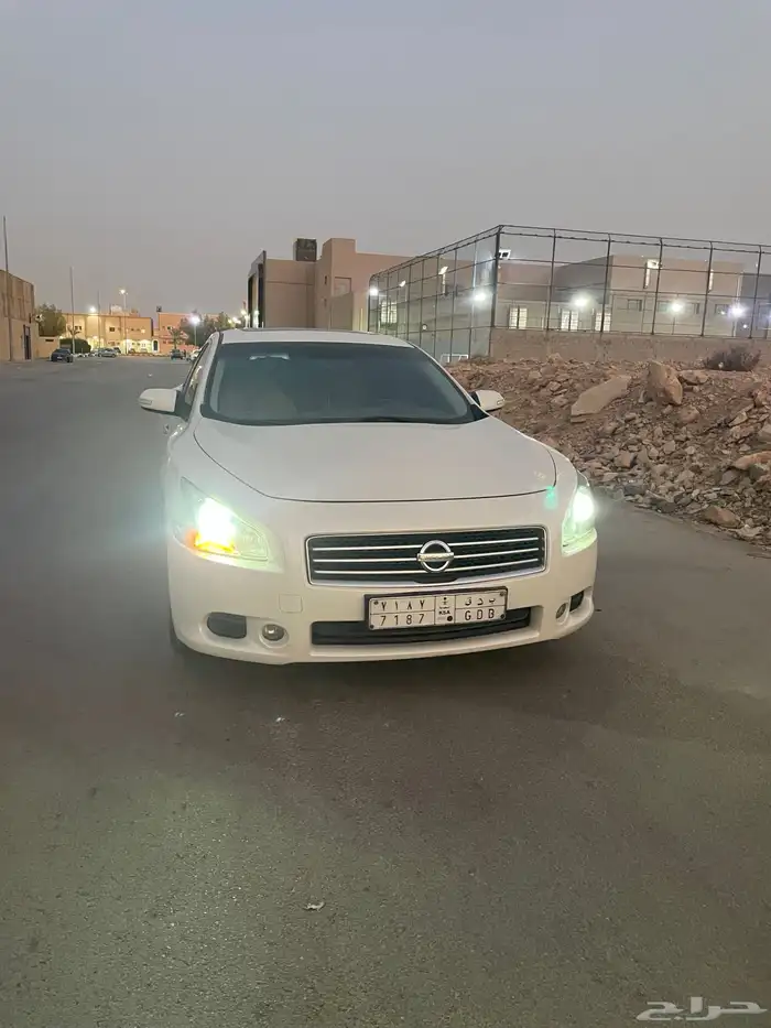 مكسيما سكر في مويه للبيع 10