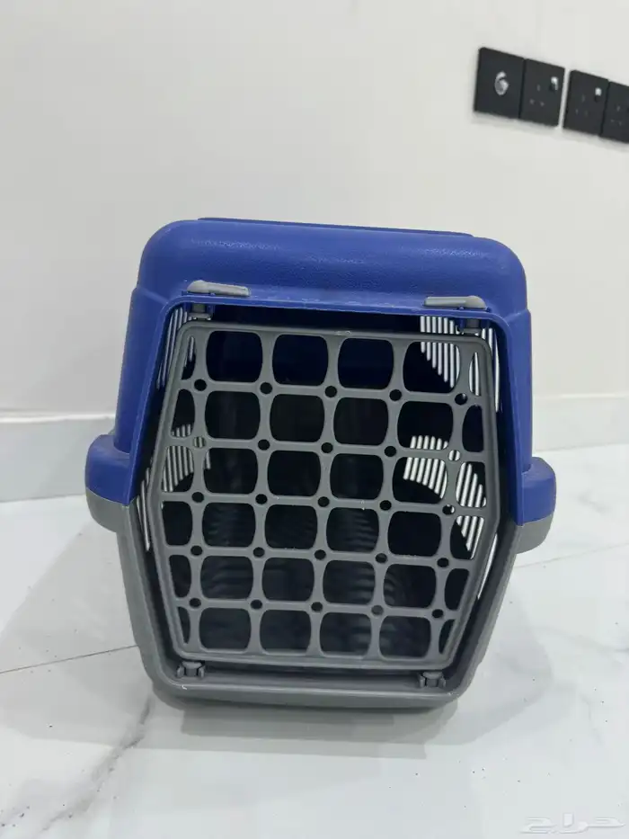 جميع مستلزمات قطط ب اقل الأسعار 2