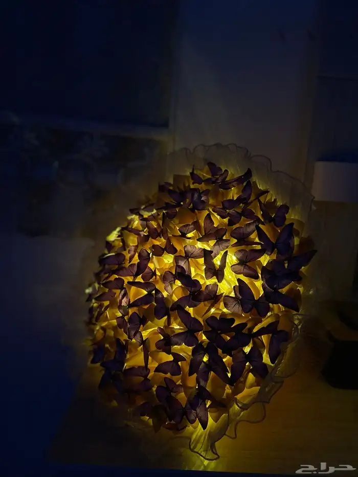 باقة فراشات 2