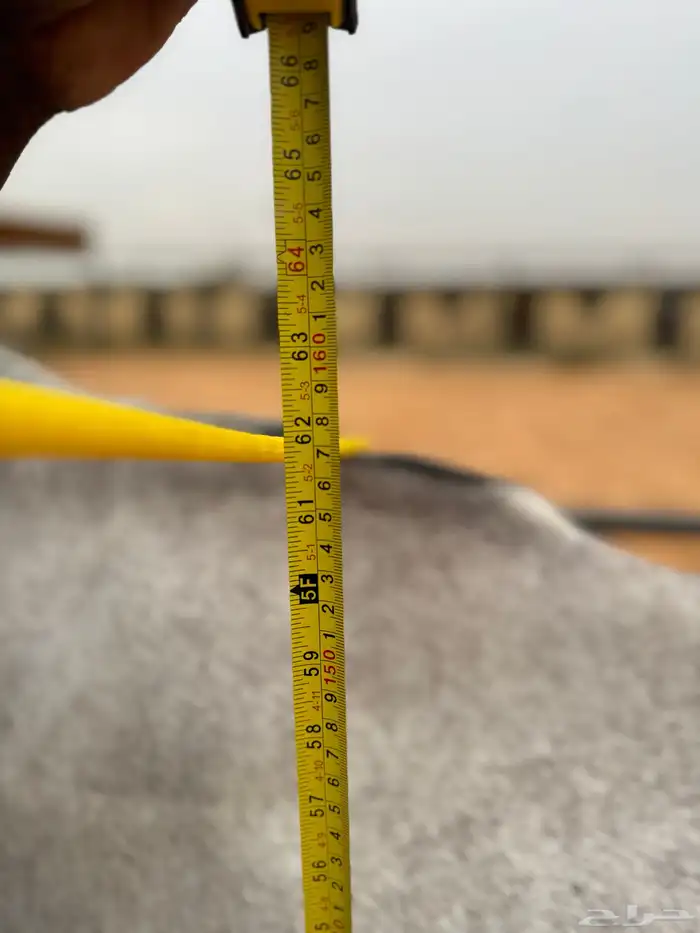 فرس شعبيه شيخه 7