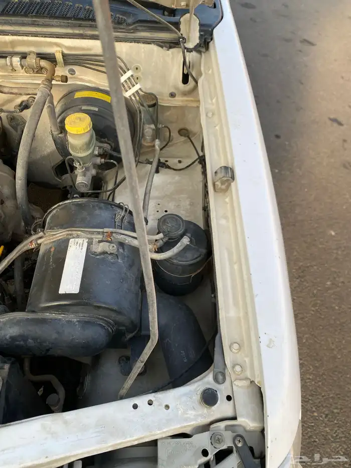 ددسن 2005 ممشى قليل 20