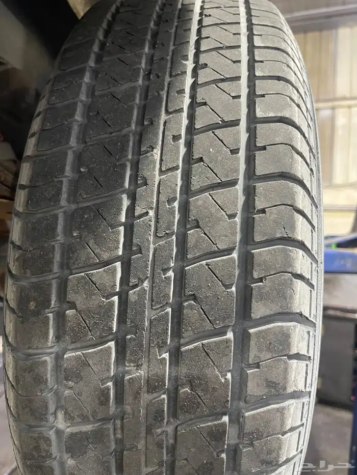 جنوط شروكي نجمة 4