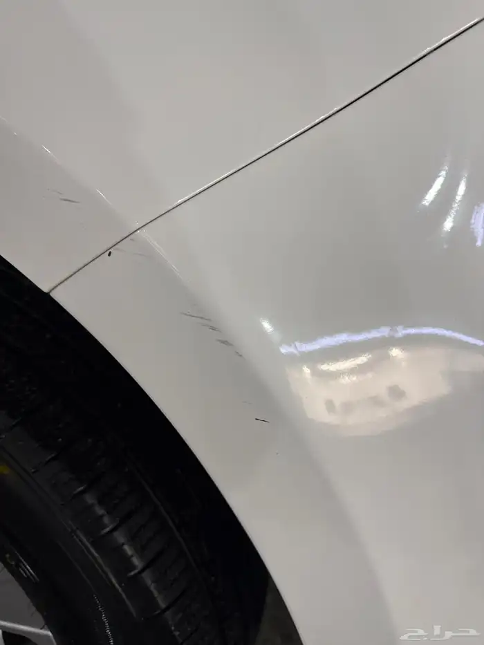 جريت ويل 2021 4