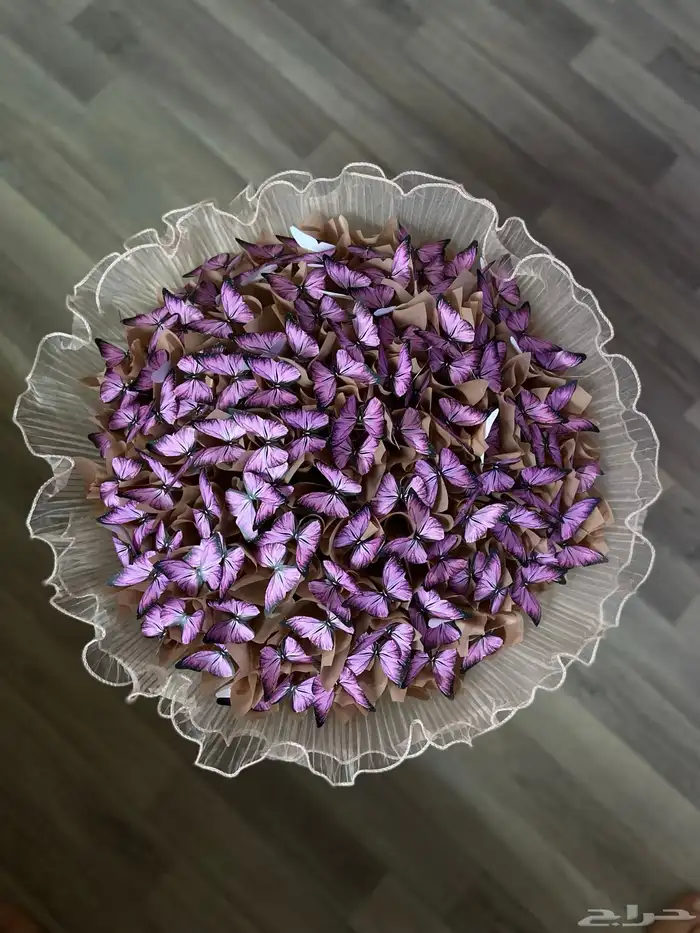 باقة فراشات 4