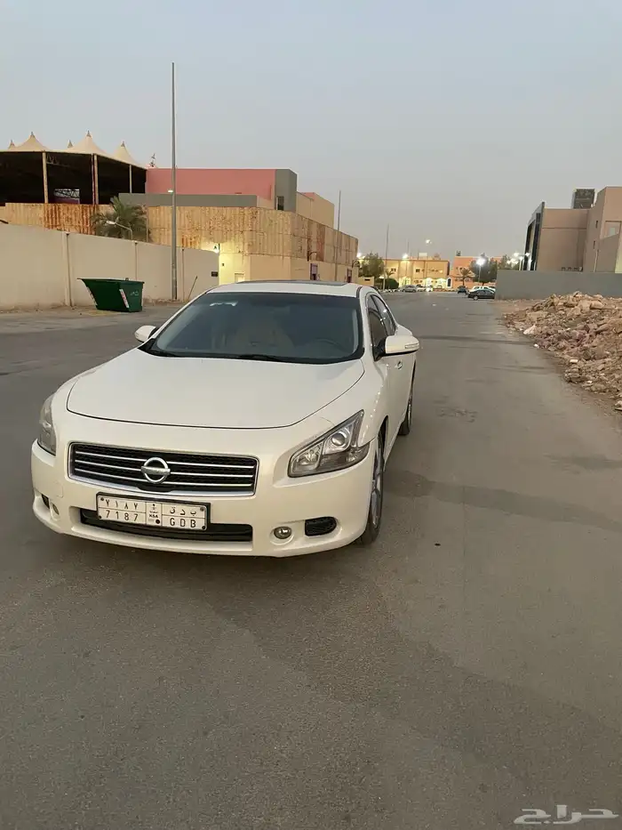 مكسيما سكر في مويه للبيع 2