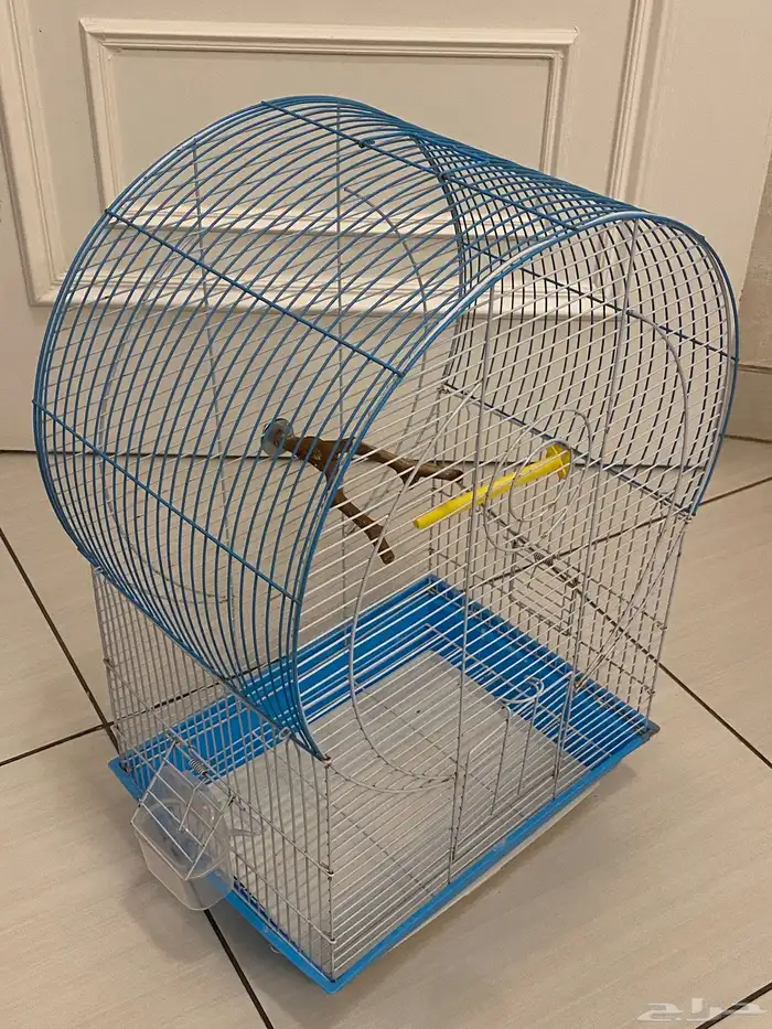 اقفاص عددهم ثلاثه البيع الحبه او كلهم 200 ريال 6