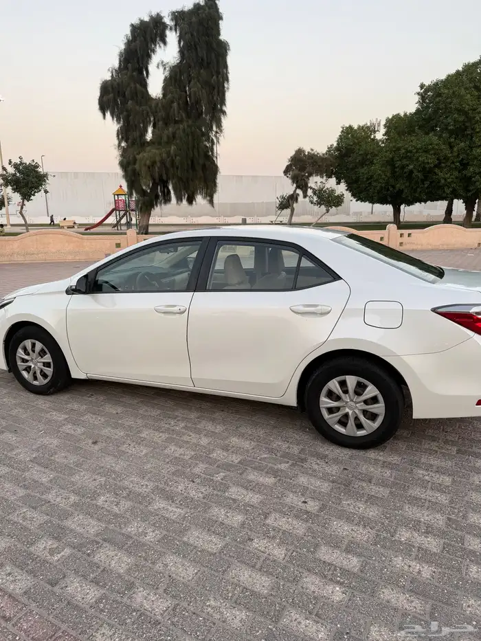 كورلا نظيف 2017 4