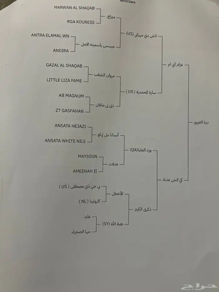 فرس واهو 0