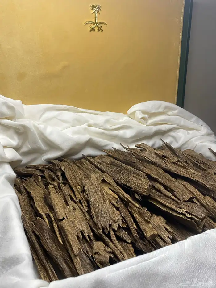 للبيع عود هندي 2