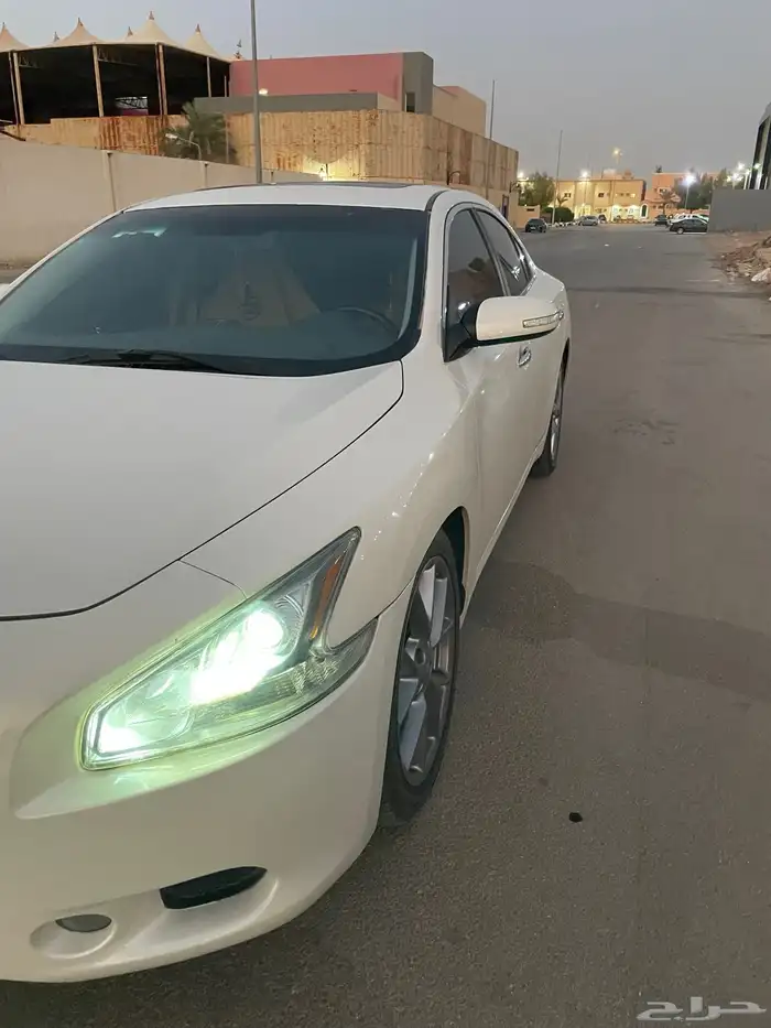 مكسيما سكر في مويه للبيع 11