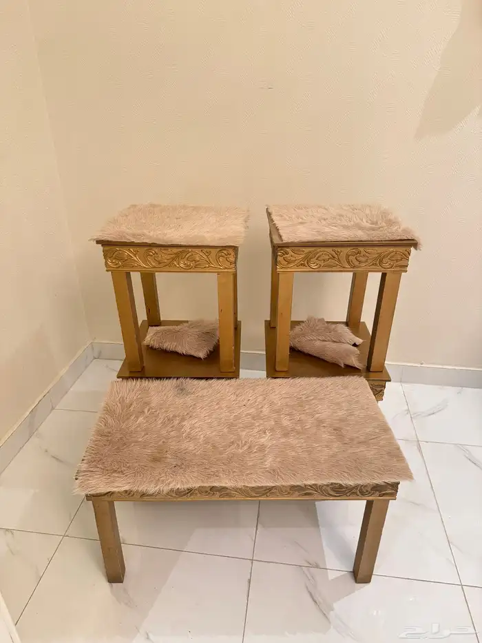 مدخل وطاولات 3