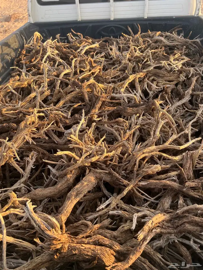 مسحه صندوق مستورد 1