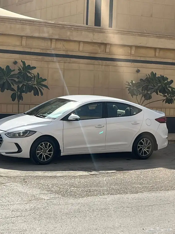 النترا 2018 نص فل 0