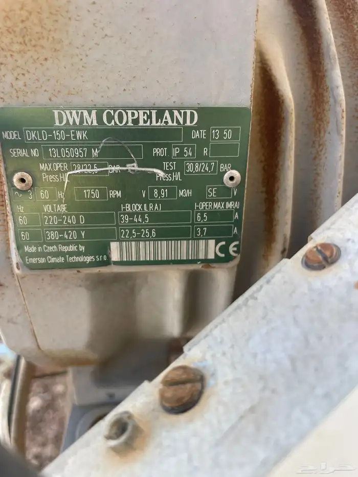 الطايف ام الدوم 0